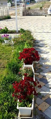 Гостевой дом Apartments August Ksamil