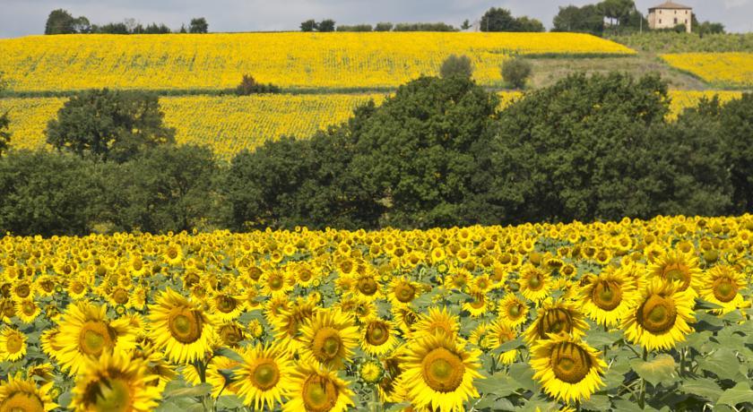 Отель Fattoria Il Bruco