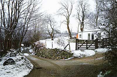 Отель Llwyn Y Brig Isaf