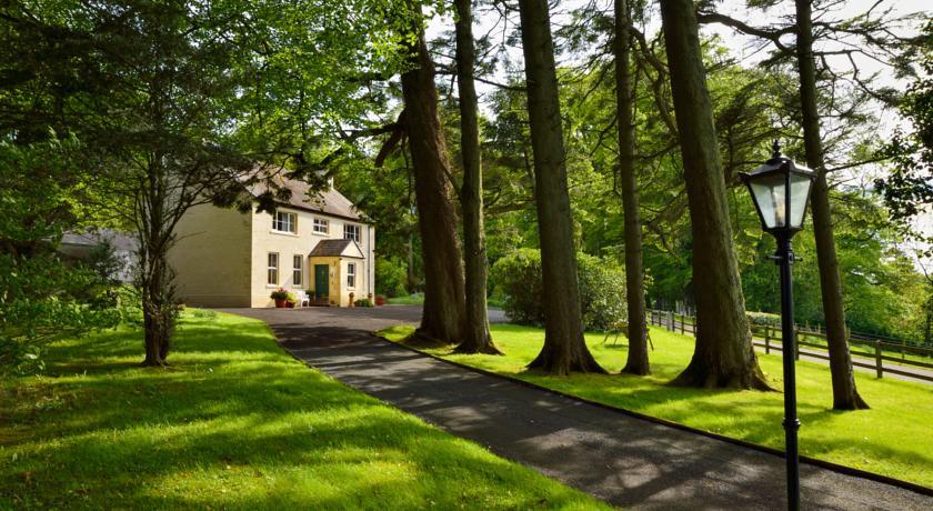 Мини-отель Dromard House Bed and Breakfast