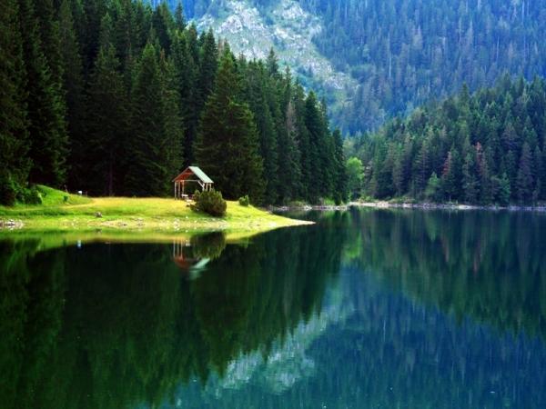 Guest House Dzakovic Stana
