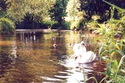 Отель Riverside