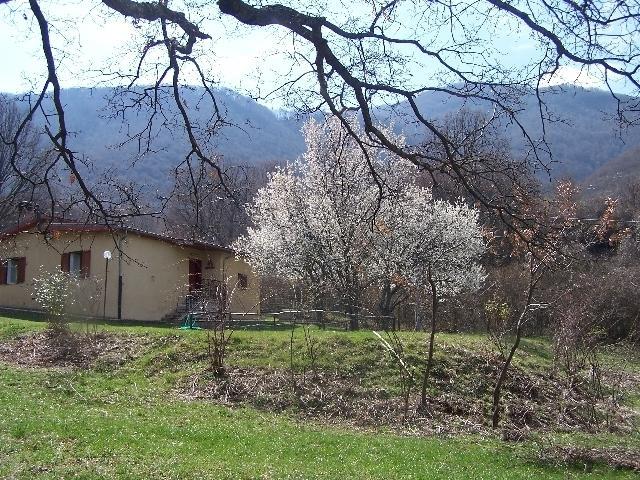 Отель B&B La Quercia che Ride