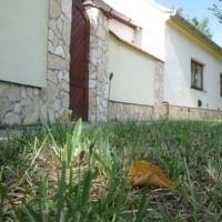 Апартаменты Green Garden Apartman