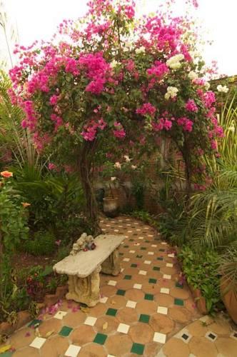 Отель Suites La Hacienda