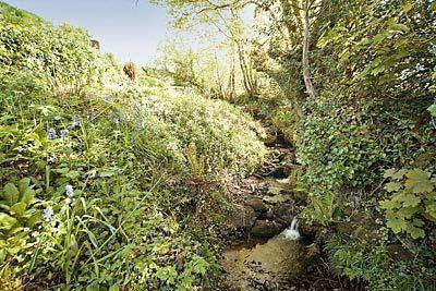 Отель Little Brookside