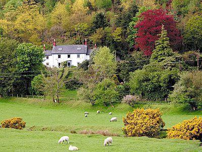 Отель Melindwr