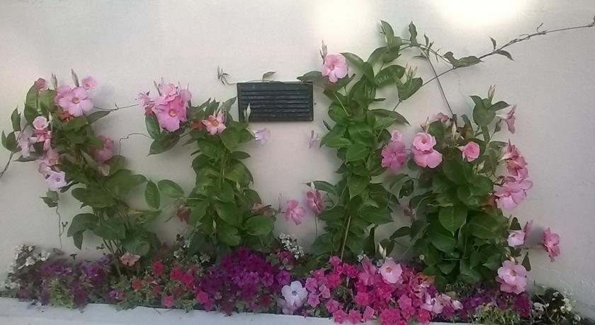 Мини-отель B&B Le Orchidee