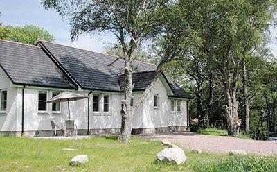 Отель The Firs