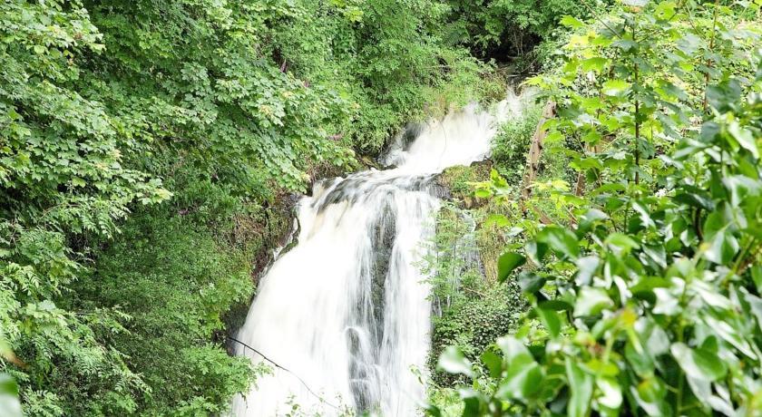 Отель Humbleton Falls