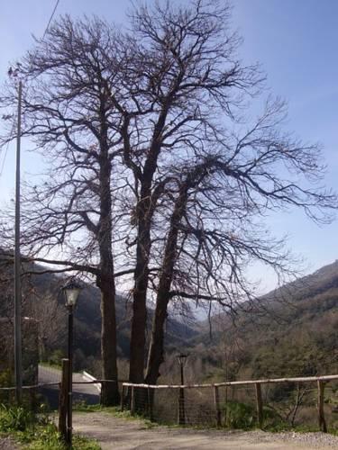 Отель Agriturismo Ponte Due Archi