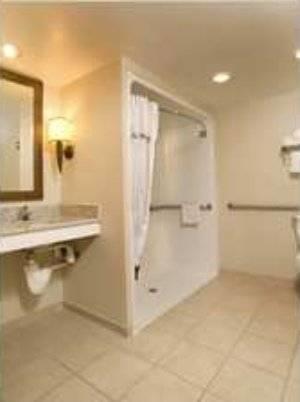 Отель Homewood Suites Dulles-International Airport