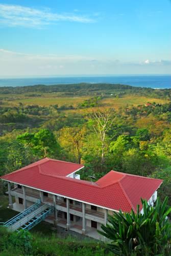 Отель Whales and Dolphins Hotel