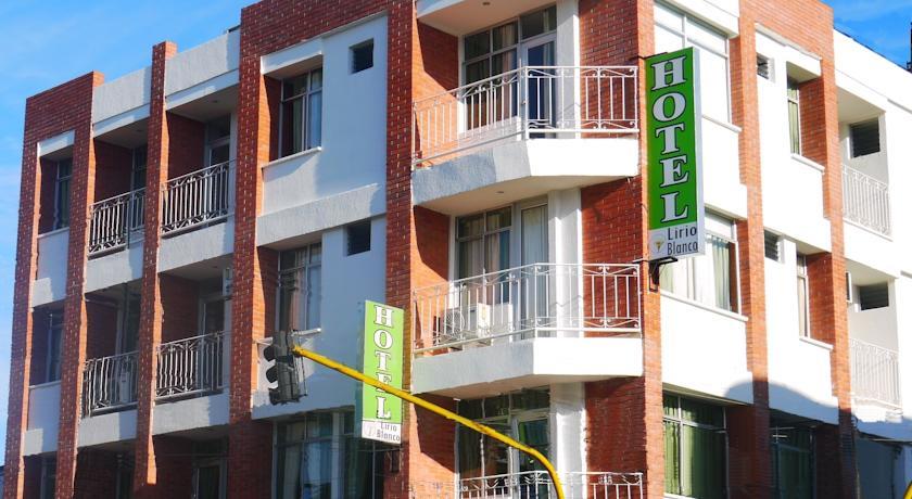 Отель Hotel Lirio Blanco