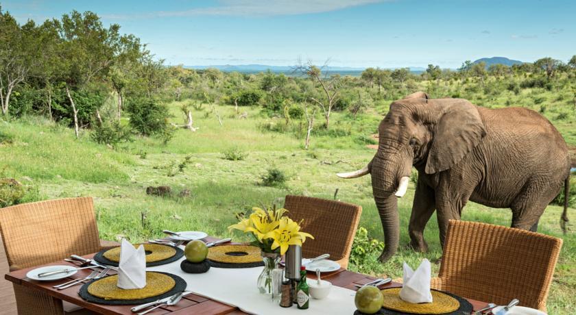Отель Royal Madikwe Luxury Safari Lodge