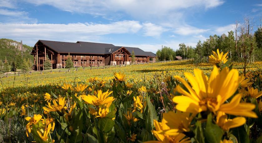 Отель Daniels Summit Lodge
