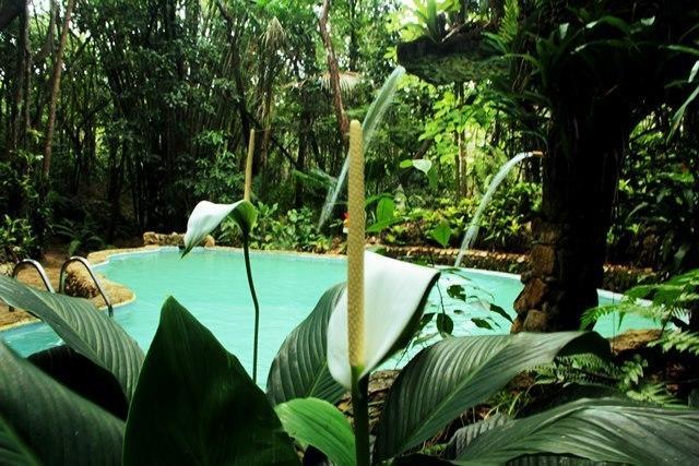 Апартаменты Casa de Campo