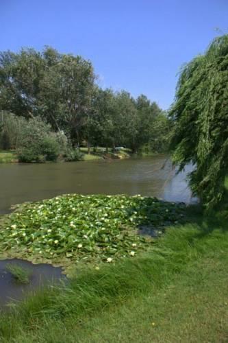 Гостевой дом Ibis Nest