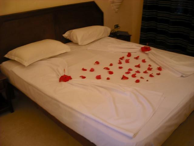 Отель Hotel Solymar