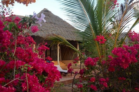 Отель Kasha Boutique Hotel