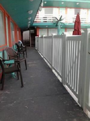 Отель Dolphin Inn