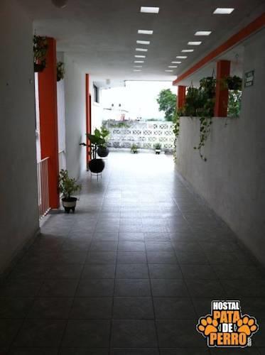 Хостел Hostal Pata de Perro