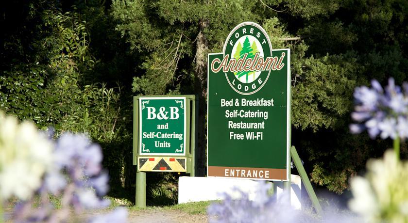 Мини-отель Andelomi Forest Lodge