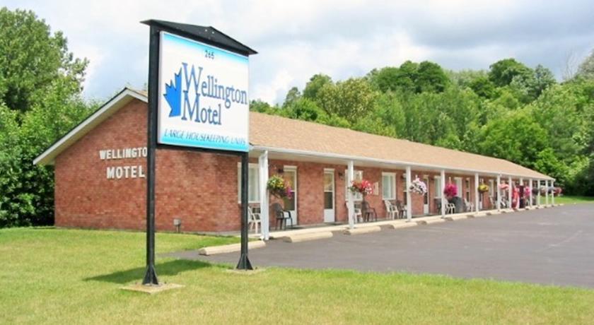Отель Wellington Motel