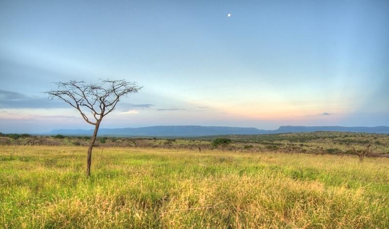 Отель Mavela Game Lodge