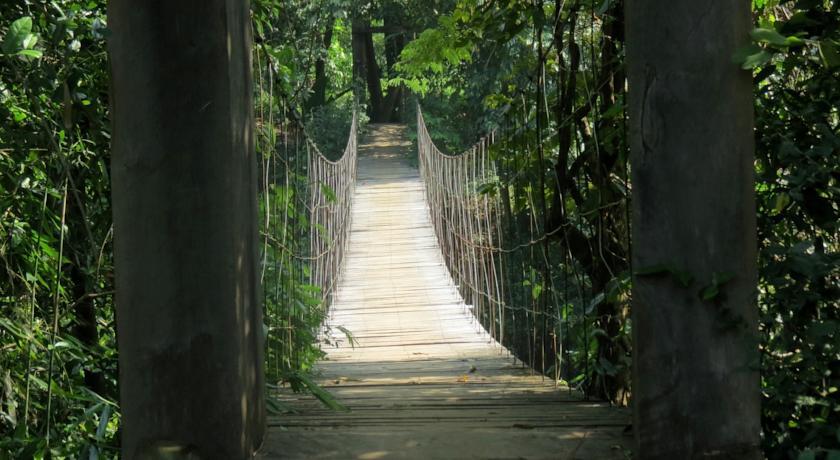 Отель Butterfly Island Lodge
