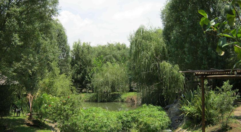 Отель Elands River Lodge