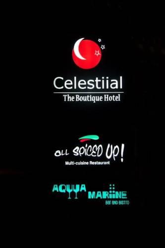 Отель Hotel Celestiial