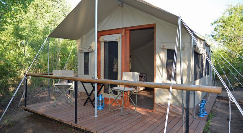 Отель The Wild Olive Tree Camp