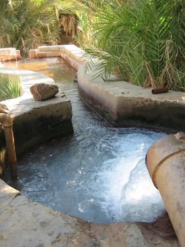Отель International Hot Spring Hotel
