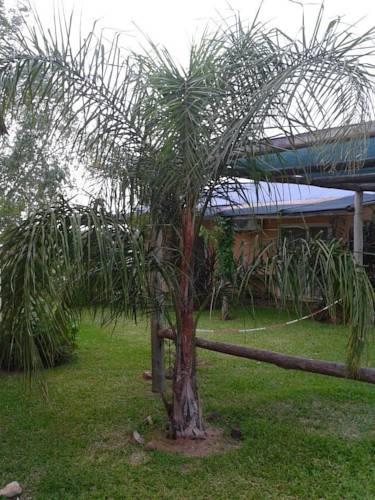 Апартаменты Las Casitas de Sigi