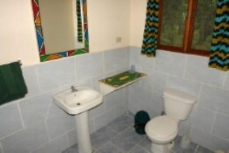 Мини-отель El Tucan Jungle Lodge