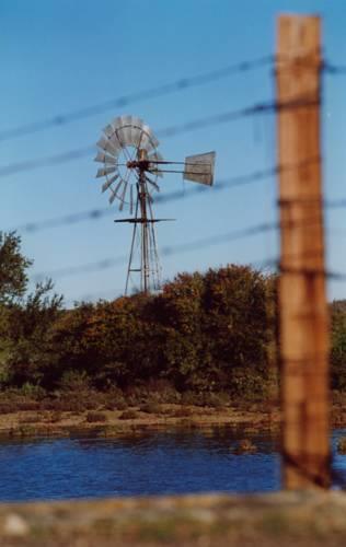 Отель Olive Grove Guest Farm