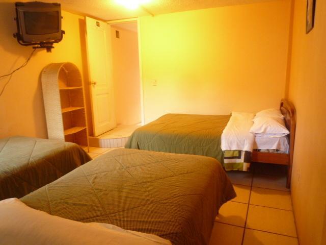 Отель Hostal Los Andes