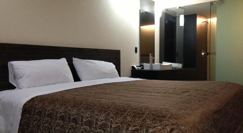 Hotel Amazonas