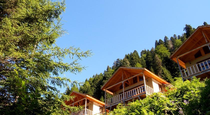 Отель Ayder Cise Dag Evleri