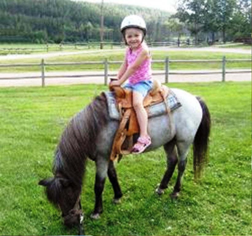Отель High Country Guest Ranch