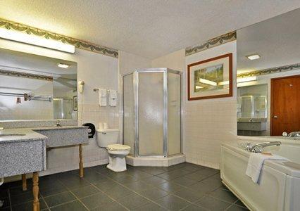 Отель Econo Lodge Inn & Suites - Albany