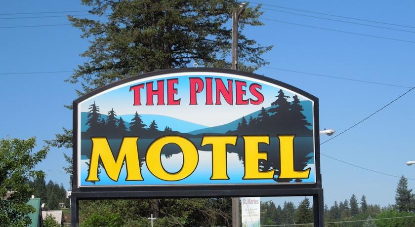 Отель The Pines Motel