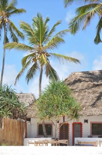 Мини-отель Simba Beach Zanzibar