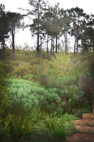 Vrede Self-Catering