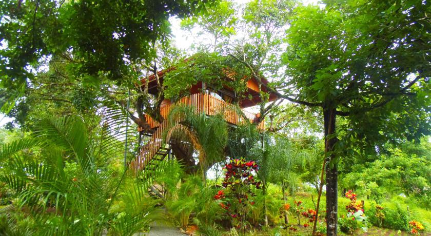 Hotel Heliconias