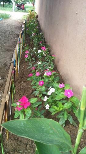 Lemon Garden Apartment