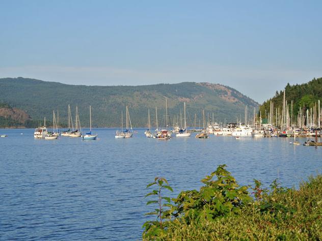 Отель Wessex Inn By The Sea