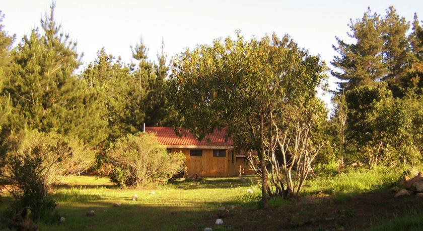 Отель Eco Cabañas Algarrobo