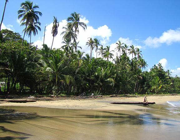 Los Congos